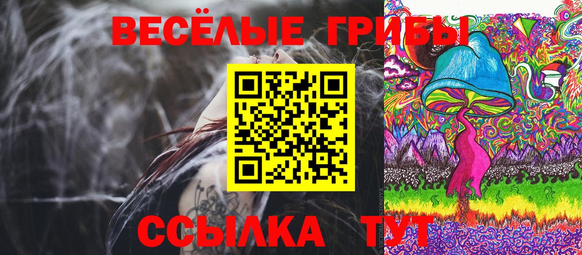 Галлюциногенные грибы Cubensis  Вход с VPN  продажа наркотиков  Псилоцибиновые грибы прущие грибы  Саров 