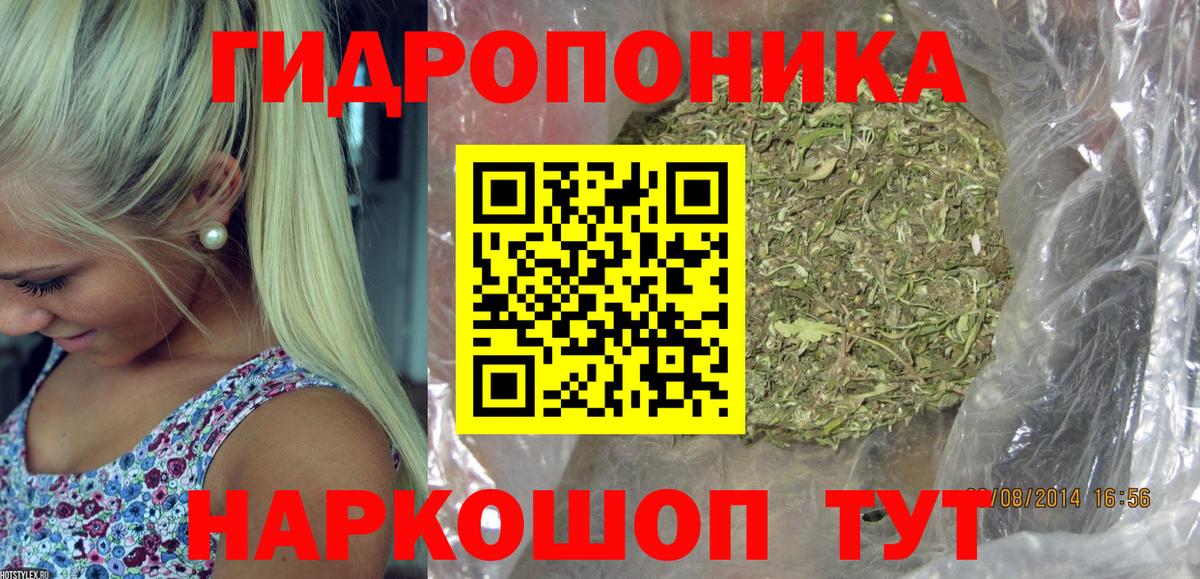Марихуана OG Kush Саров